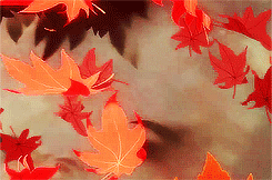 Autumn Season
